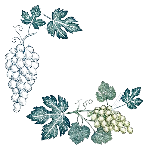 SDAD
